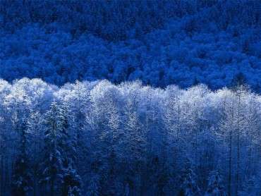 Fotografía de invierno