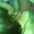 Ver perfil