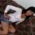 Ver perfil